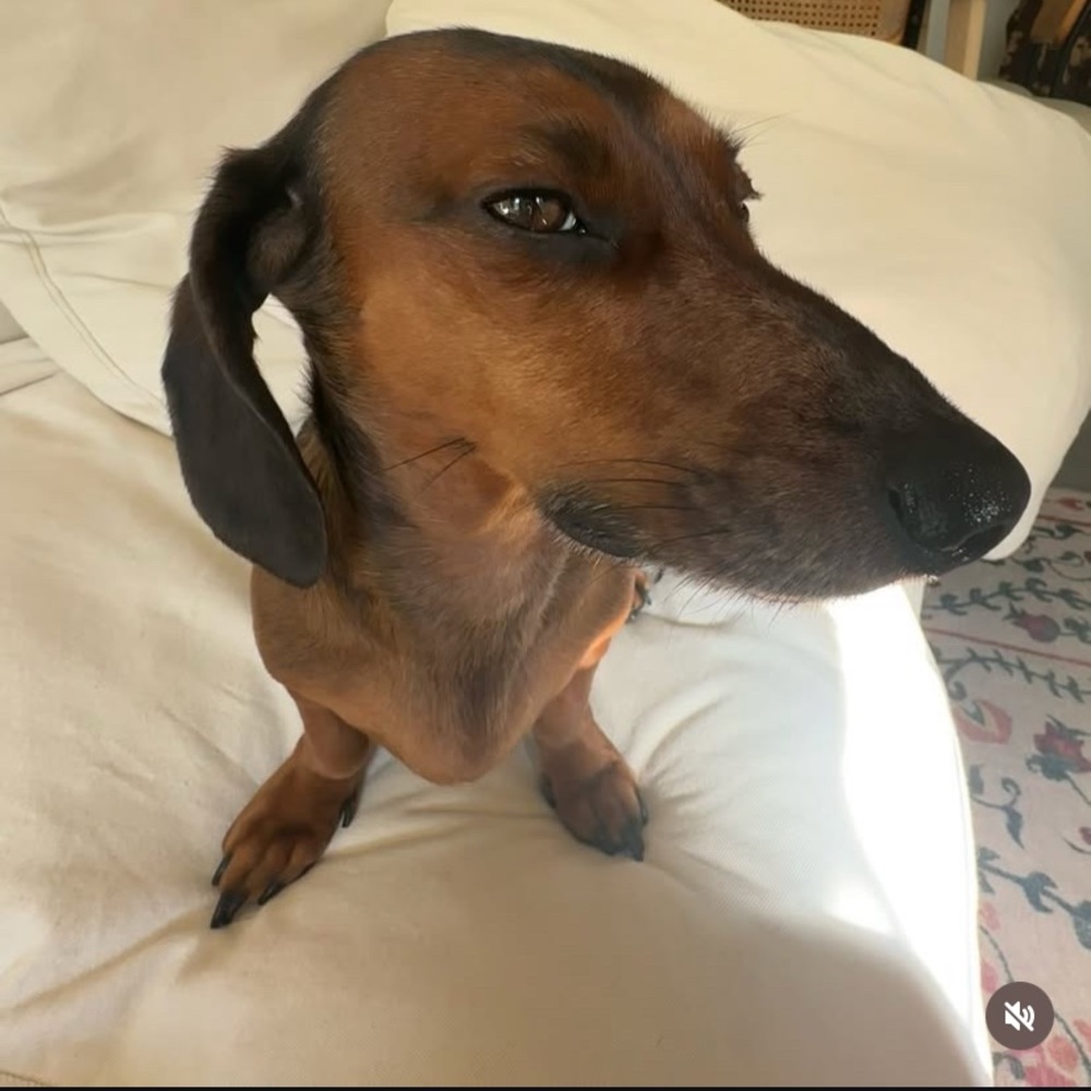 Meet your Posher, Jerrin